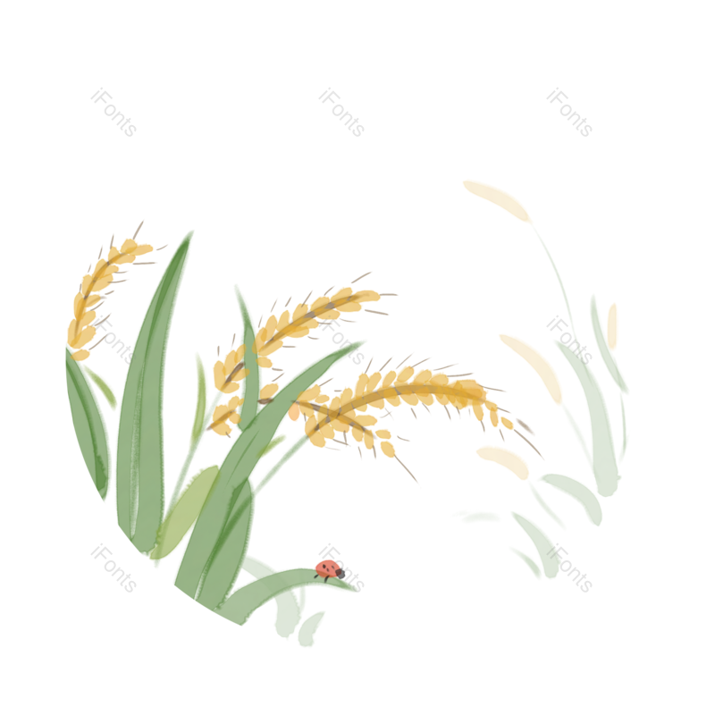 芒种图片,水墨元素,中国风PNG,小麦免抠素材